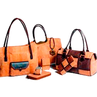 BOLSAS